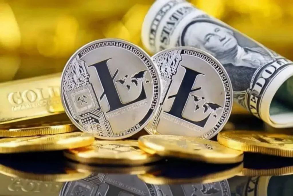 Come acquistare Litecoin con rubli, dollari ed euro